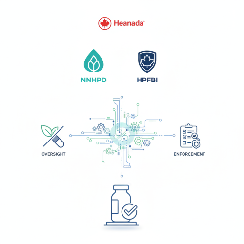 Gemini_Generated_Image_6goekr6goekr6goe